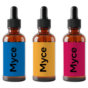 Protocolo Defesa Ativa