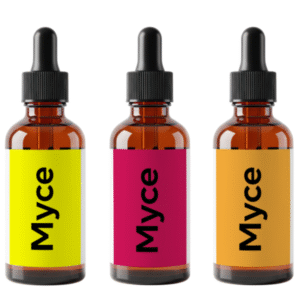 Protocolo Performance Pro