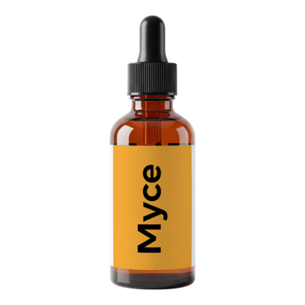 Extrato de Cogumelo - Chaga